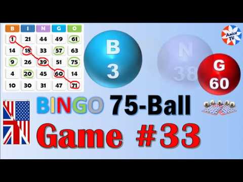 Bingo 33